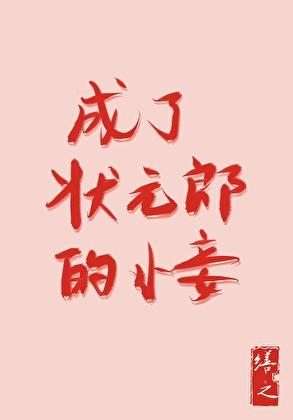 成了状元郎的小妾讲什么故事